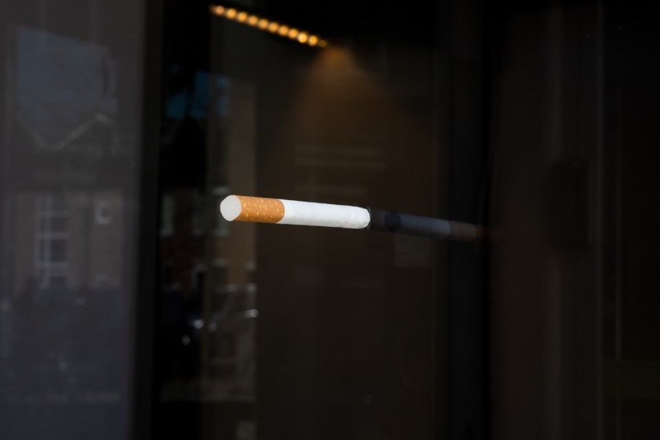 Anna Ã k Lou Pitteloud TLT Part1 DSC6512