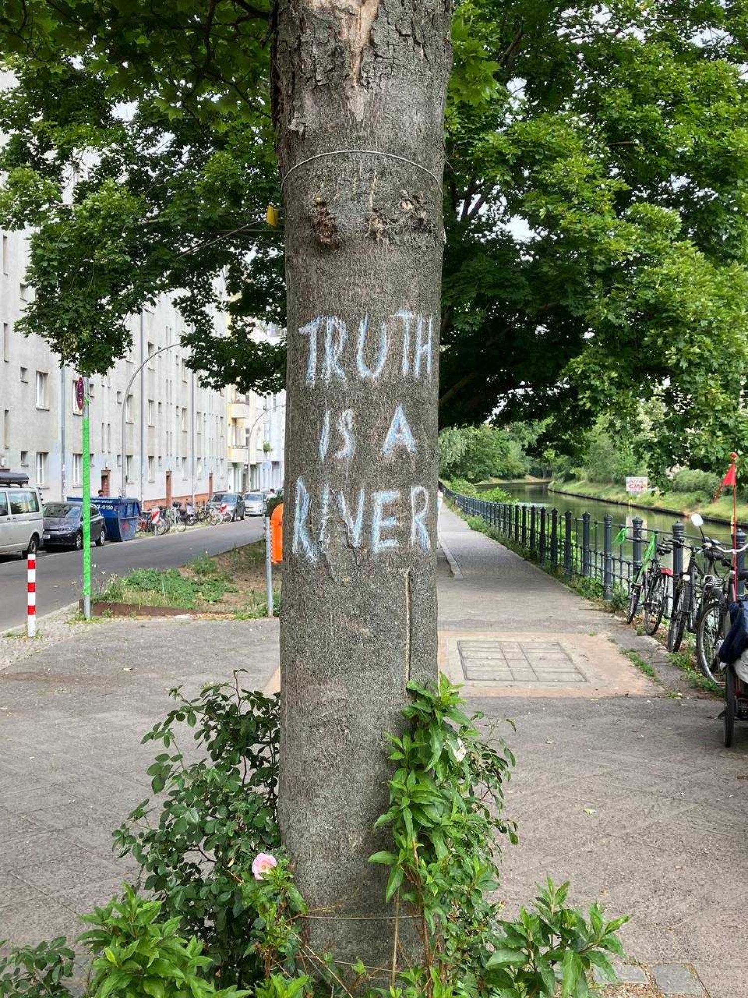 Birds Truth is a river