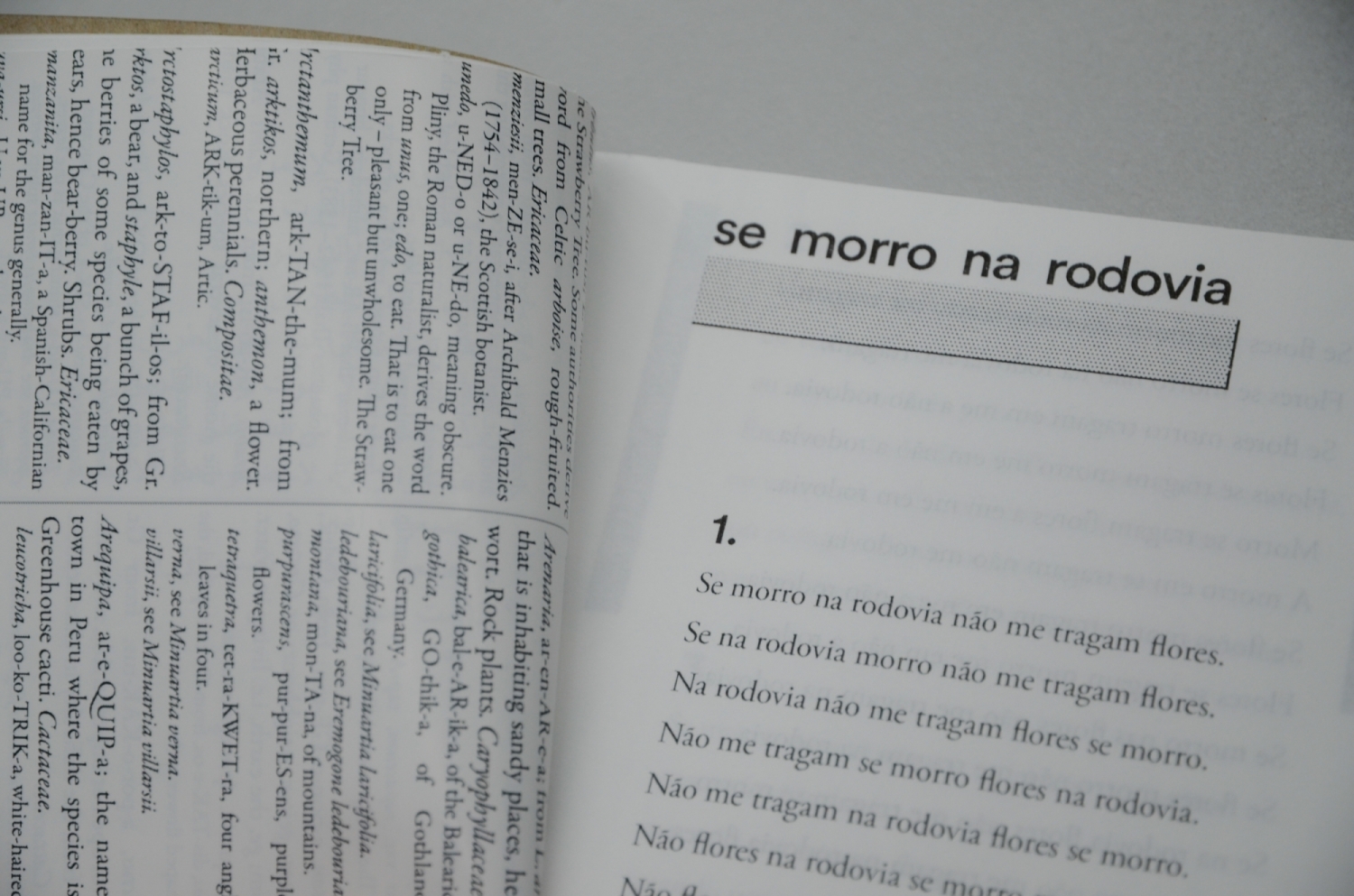 Slow Reading Club Publication 08 copy
