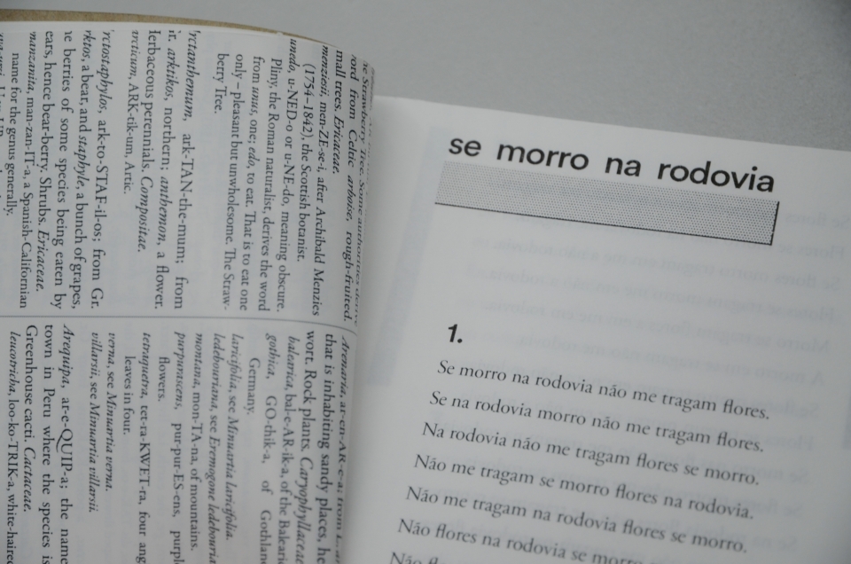 Slow Reading Club Publication 08 copy