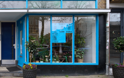 Flower shop Graysc
