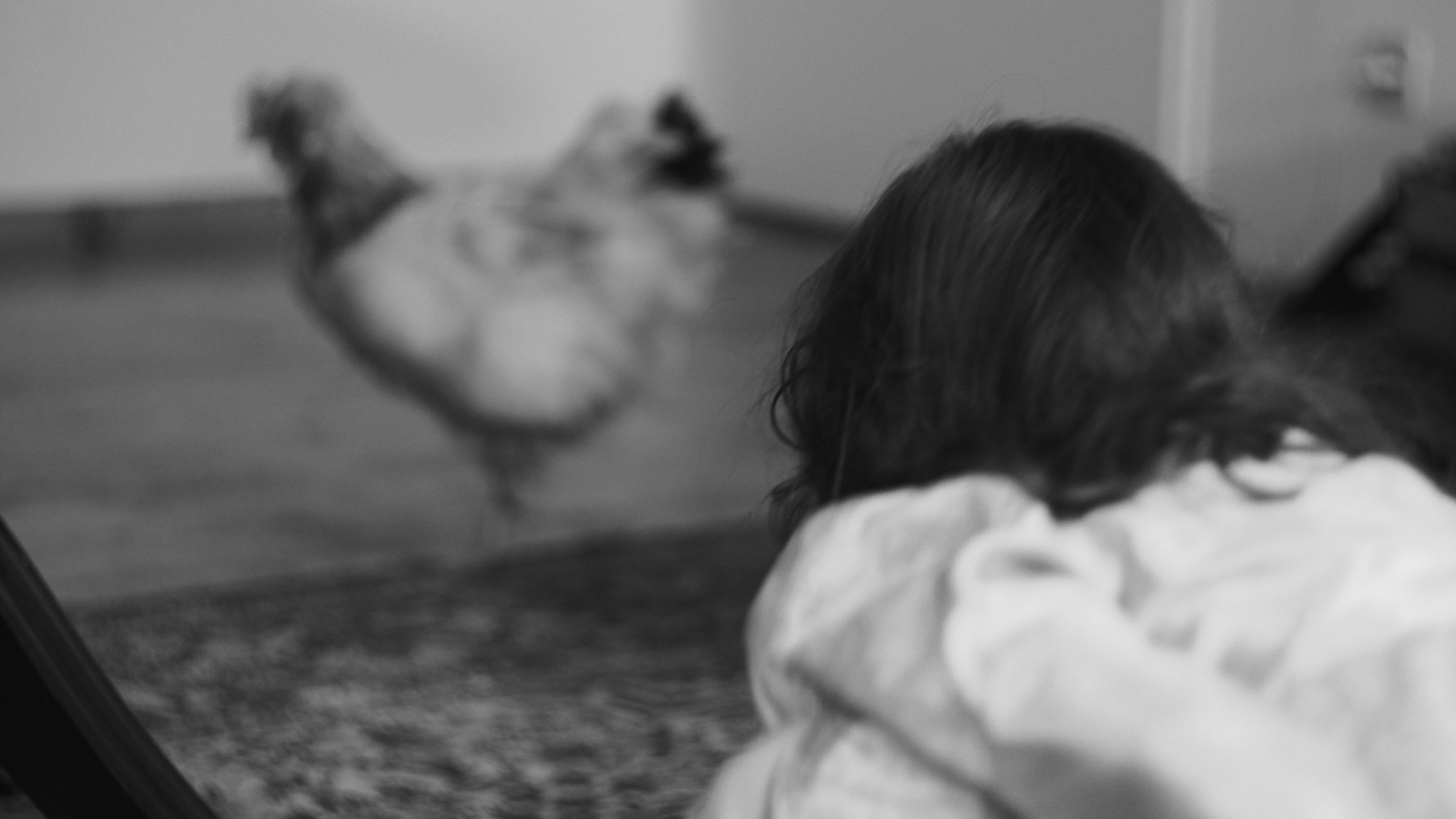 Daniel Laufer still 6