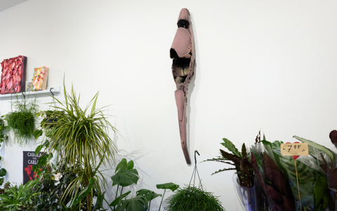 Bloemsierkunst Cyro HZM2026 2