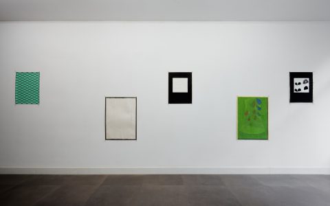 Home Gallery 260331 NZ78317 Frans Parthesius